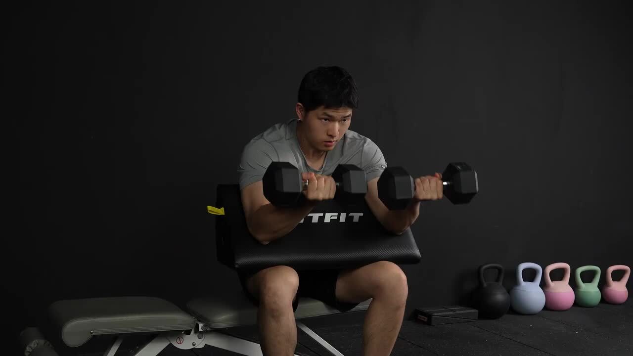楽天市場】RITFIT プリーチャーカールパッド プリーチャーカール