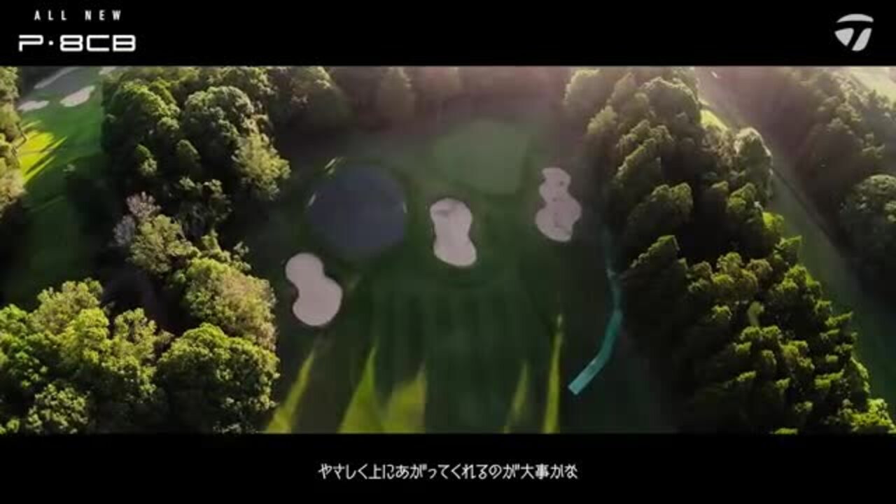 新品未使用】テーラーメイドP8CB 7〜P MODUS125sメーカー