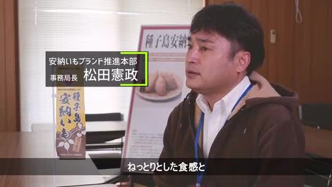 ☆フローライト☆ 種子島産安納こがね20キロ(S10キロ&amp;M10キロ) ねっとり甘い！種子島の安納芋（生芋10kg）