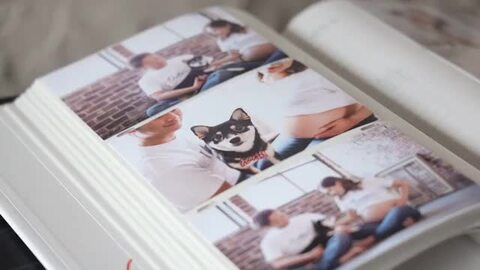 ミッフィー フォトアルバム 多色 9冊セット（内３冊新品） 楽天市場】【7冊セット】ミッフィー ポケットアルバムL判3段