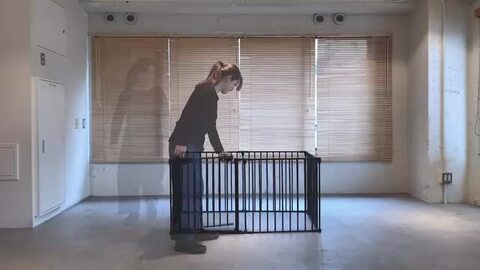 楽天市場】【犬 サークル】小型・中型犬用 多頭飼い ケージ 犬