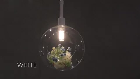 楽天市場】LED電球付属 ペンダントライト ガラス テラリウム