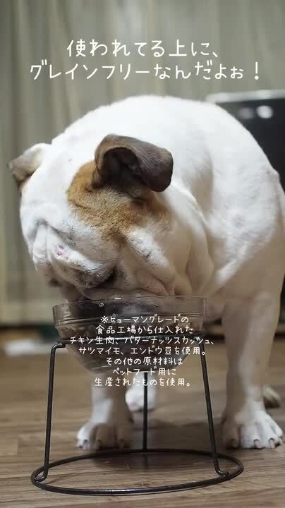 楽天市場】【公式】ネルソンズ ドッグフード（5kg）全犬種・全