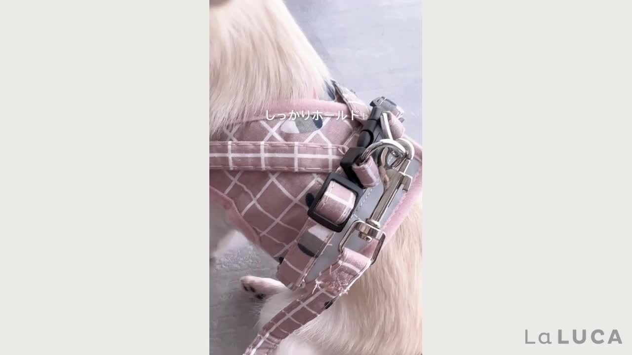 asimocrafts ハーネス_MC カラー_MC リード_MCセット asimocrafts ハーネス_RT カラー_RT リード_RTセット