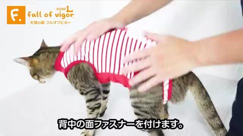 楽天市場 エリザベスカラーの代わりになる 獣医師推奨 消臭機能付き猫用術後服エリザベスウエア R 男の子雄 女の子雌兼用 猫用 ネコポス値2 日本製 国産 避妊 去勢 乳腺腫瘍 手術 猫服 キャットウェア 介護服 犬猫の服 Full Of Vigor フルオブビガー 楽天市場 エリザベスカラーの代わりになる 獣医師推奨 消臭機能付き猫用術後服エリザベスウエア R 男の子雄 女の子雌兼用 猫用 ネコポス値2 日本製 国産 避妊 去勢 乳腺腫瘍 手術 猫服 キャットウェア 介護服 犬猫の服 Full Of Vigor フルオブビガー