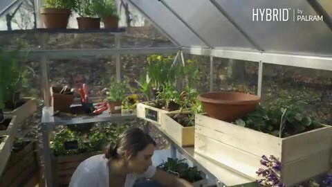 グリーンハウス アイビー 温室 CANOPIA カノピア 組立式 植物 栽培