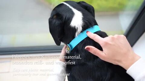 楽天市場】ハンター 犬用 首輪 コンビニエンス コンフォート 55