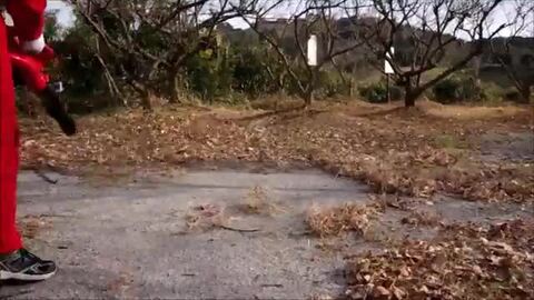 在庫整理‼️プロテア30本バンクシア9本‼️ 在庫整理‼️プロテア30本バンクシア9本‼️