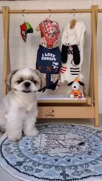 SNOOPY - スヌーピー　ハンガーラック Amazon｜犬 ハンガーラック スヌーピー 小型犬 洋服ラック