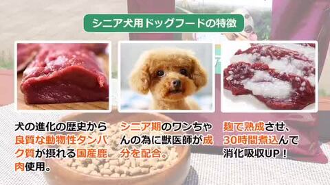 楽天市場 | 獣医師・宿南章の愛情ごはん療法食 - 獣医師が作った国産ドッグフード、療法食、犬用サプリ、キャットフード