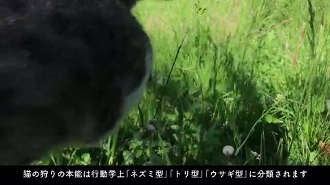 janoschik木製バイク(ねこ＆ねずみ) バイク と サイドカー 猫 ねずみ 置物 オブジェ ネコ ねこ