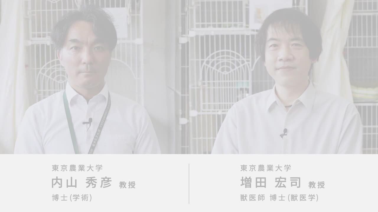 楽天市場】【公式店】 パナソニック 次亜塩素酸 空間除菌脱臭機 楽天市場】【公式店】 パナソニック 次亜塩素酸 空間除菌脱臭機