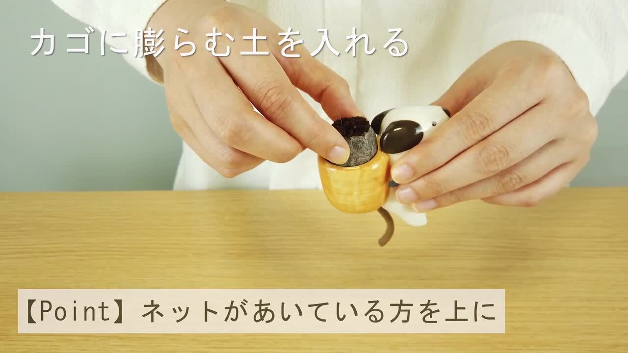 栽培マン 2体セット Amazon | すいこう栽培キット 水耕栽培 タワー 水耕栽培 ポット