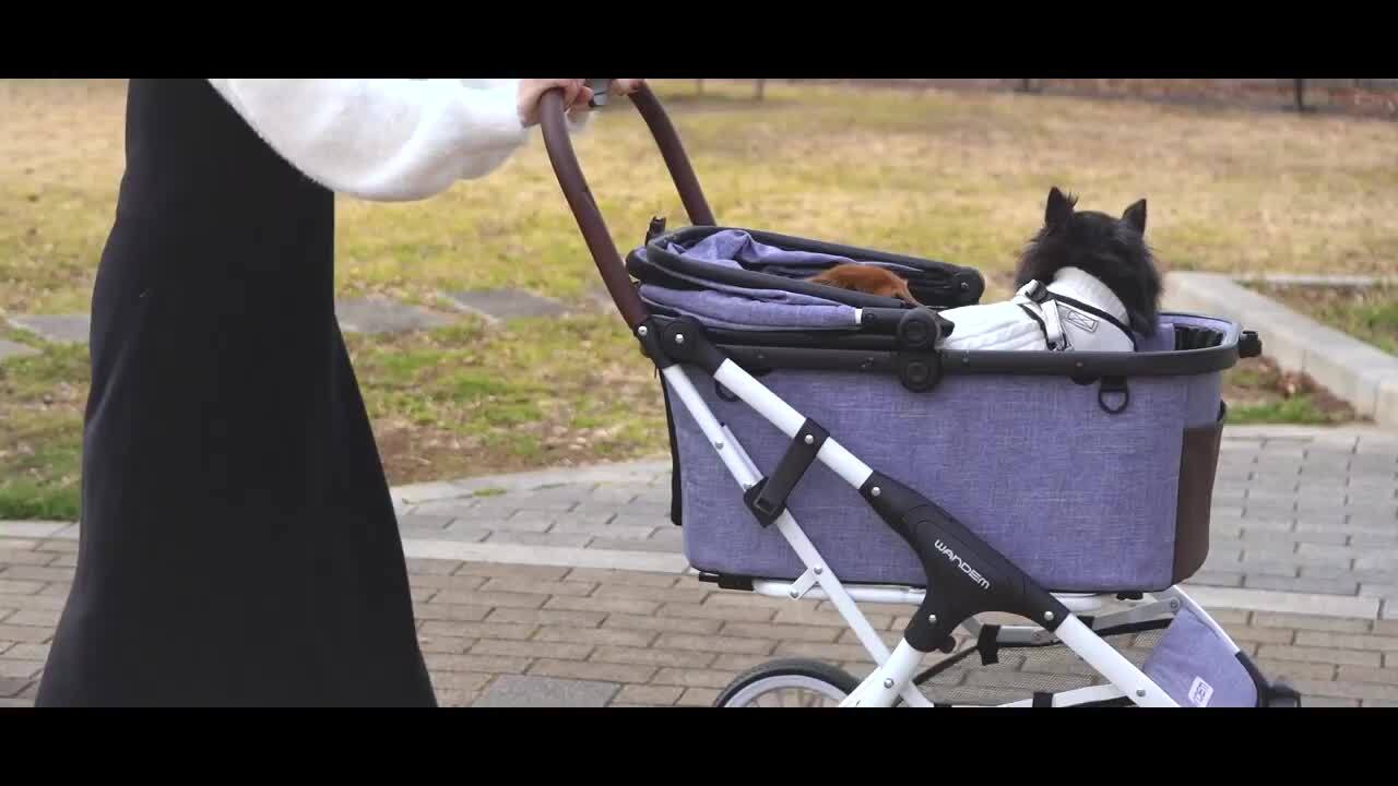 ヒコザル ミニカード DP1 DPBP#451 ヒコザル [DP1]の価格・値段と買取相場 - ポケカジラ