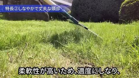 楽天市場】金象 ガーデン芝生レーキ 1200 柄付 芝生 清掃 集草 整地