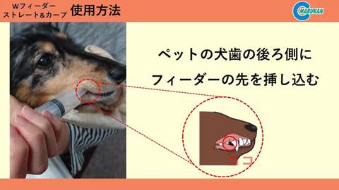 楽天市場】マルカン Ｗフィーダー ストレート＆カーブ ペット全般用 2本セット（犬 猫 小動物 流動食 ペースト 注射器型 介護用品 食事） :  ペットガーデン紀三井寺