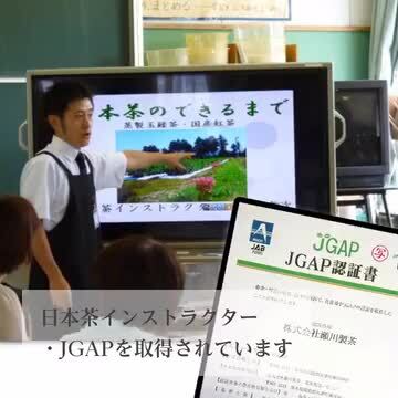 楽天市場】【ふるさと納税】水出し緑茶 ティーバッグ たっぷり7袋