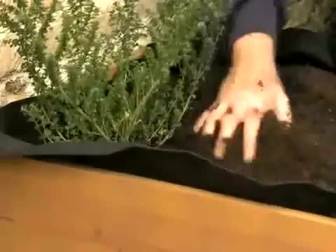 楽天市場】鉢 プランター ベジトラグ 菜園 スタンド 木製 ガーデニング ...