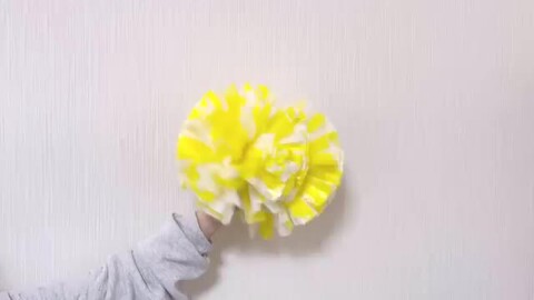 楽天市場】【全6色 ポンポン ホワイトミックス】 チア