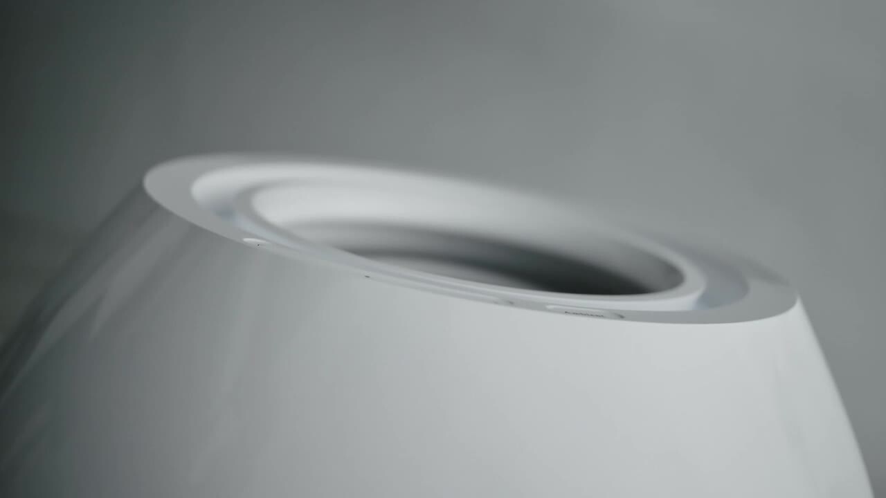 楽天市場】【専用収納袋の特典付】 バルミューダ 加湿器 レイン