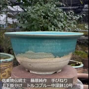 楽天市場】【現品・一点物No.5869】信楽焼 植木鉢 手びねり(ロクロ引き) 伝統工芸士藤原純作 上下掛分け 藤原ブルー中深鉢10号 大型  サナサービス【山野草鉢 多肉植物鉢 サボテン鉢 盆栽鉢 果樹苗 アガベ 塊根植物 珍奇植物 ビザールプランツ 蘭ラン科植物 観葉植物 ...