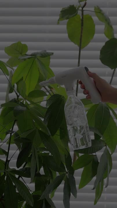楽天市場】【選べる特典付】ミスト 噴霧器 電動 コードレス 化粧
