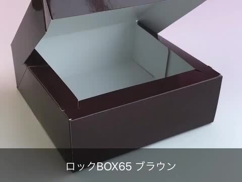 フォンテーヌ　ROLOC  ウィッグ ネット付　箱なし フォンテーヌROLOC ウィッグ ネット付箱なし