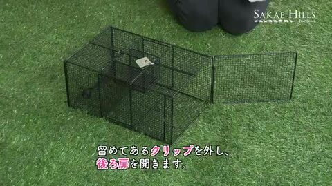 バカラ 干支 ネズミ ほぼ未使用 楽天市場】Aタイプ No102 ネズミ捕獲器 ブラックボックス QB-30