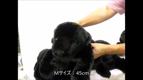 楽天市場】【人形の吉徳製】 犬 グッズ ぬいぐるみ 犬 特大 ! 黒ラブ Lサイズ ビッグサイズ ラブラドールレトリバー 雑貨 お誕生日 ギフト  プレゼント 誕生日プレゼント ペット ハロウィン : 犬屋楽天市場店