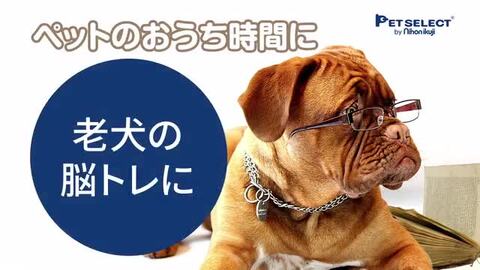 楽天市場】□Dog' SUDOKU スライドパズル カラフル アドバンス ペット