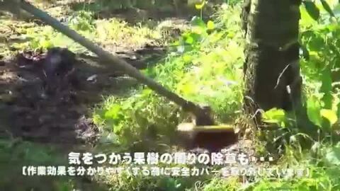 楽天市場】畑の除草専用 畑のシェーバーDX : 刃物・道具の専門店
