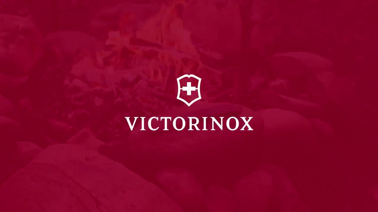 楽天市場】ビクトリノックス ナイフ VICTORINOX 公式 エボーク