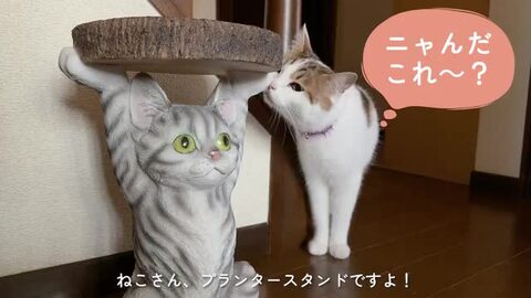 楽天市場】ガーデンオブジェ / ハンギングアニマル / 全2種