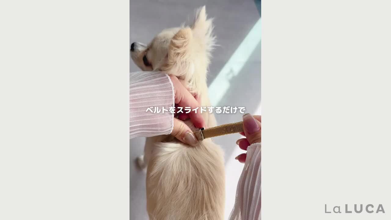 楽天市場】犬 ハーネス リード 犬 猫 抜けない ウェアハーネス