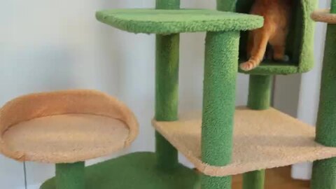 キャットタワー サボテン スリム 多頭飼い 大型猫用 据え置き 高さ150cm 送料無料 キャットタワー サボテン スリム 多頭飼い 大型猫用