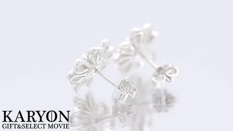 4DM10 Tiffany&Co. ティファニー ピアス パロマピカソ デイジー 廃盤】ティファニー デイジー フラワー ピアス シルバー Tiffany
