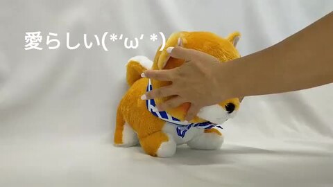 豆柴三兄弟 BIGサイズぬいぐるみ 6個セット まとめ売り プライズ品 柴犬 ≪9月の新商品≫アミューズプライズーNEW ITEM！☆プレミアム豆