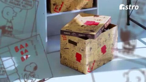 楽天市場】スヌーピー 収納ボックス 保管 3個組 日本製 フタ付