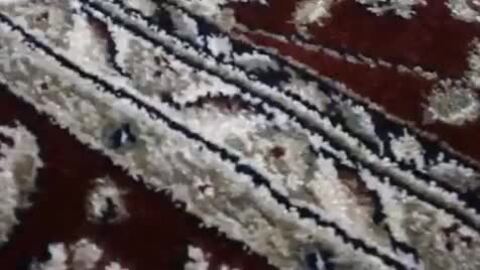 楽天市場】ベルギー製 上品な高級じゅうたん、 ヨーロピアンラグ