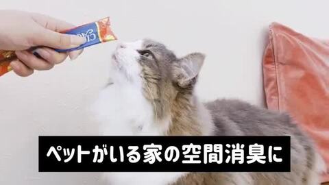 【定期購入】mofuwa 瞬間消臭スプレー 詰替用 1000ml 犬 猫 ペット 消臭 除菌 剤 トイレ おしっこ うんち 猫砂 糞尿  アンモニア 舐めても安心 無添加 無香料 日本製 お得 もふわ モフワ ワンテンス公式 