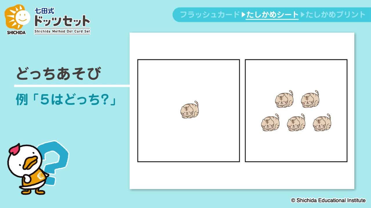 しちだ式　ドッツフラッシュカード&ドッツどっちプリントのセット しちだ式 ドッツフラッシュカード&ドッツどっちプリントのセット
