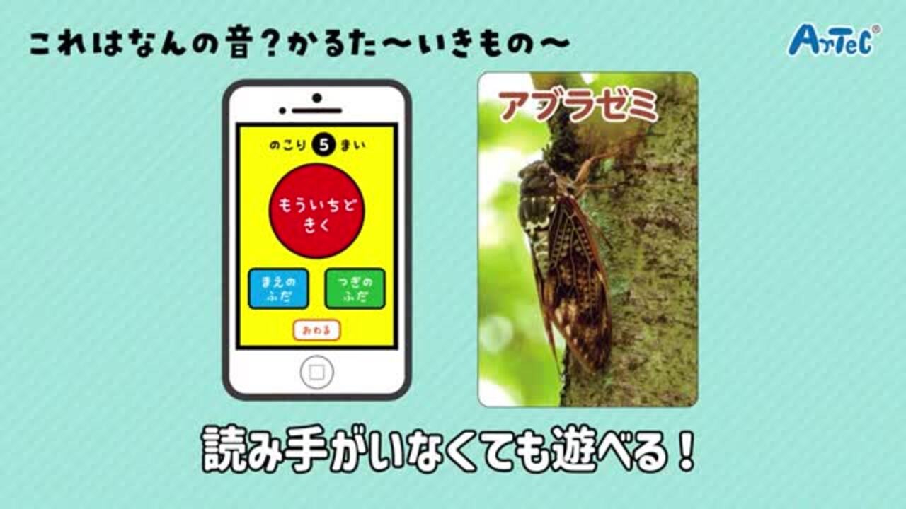 楽天市場】これはなんの音？かるた〜いきもの〜 1個入 / かるた