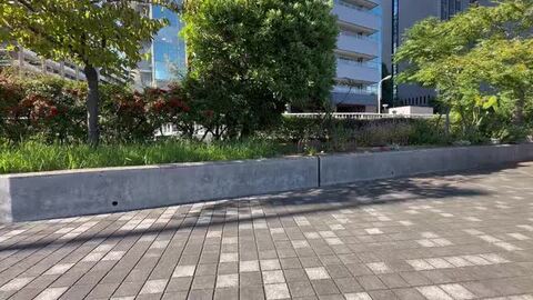 値下げ！fuji ハンドレースステッキ ハンドレールステッキⅡ フジホーム シルバーカー・ショッピング