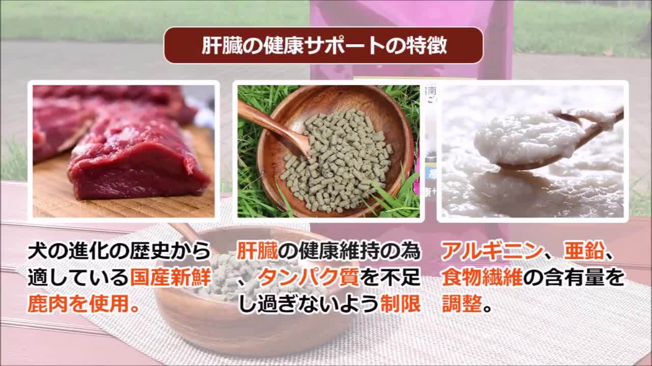 楽天市場】【初回お試しサンプル・送料無料】犬用療法食・肝臓の健康サポート100g入り・Dr.宿南のキセキのごはん （鹿肉ドッグフード/ベニソン/国産/無添加/犬/獣医師開発/旧・デイリースタイル）※1世帯1個限り : 獣医師・宿南章の愛情ごはん療法食