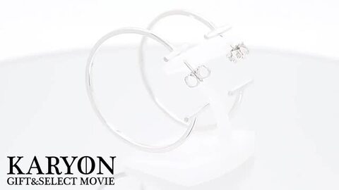 極美品 ティファニー Tワイヤー ラージ ピアス シルバー925 24122203_3.jpg