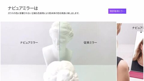 楽天市場】堀内鏡工業 【頭頂部がよく見える】 ヘアチェック・ナピュア