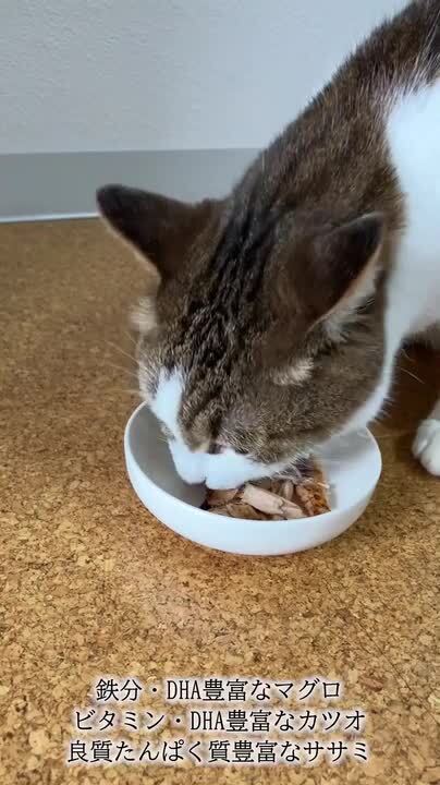 素材そのまま ねこちゃんの完全無添加 生後3ヶ月からのひとくち