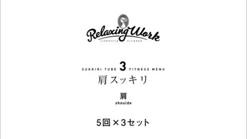 楽天市場】＼P10倍！4日20:00-11日1:59／【公式】 HATACHI スッキリチューブHARD スッキリチューブハード  RelaxingWork（リラクシングワーク）NH3500 羽立工業（ハタチ）｜送料無料 ギフト プレゼント 母の日 父の日 : HATACHI公式ストア  楽天市場店