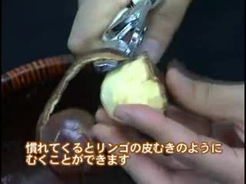 ドングリ坊主　E50 @200円×47本=9400円 tatsumiya123_z249-dx-l