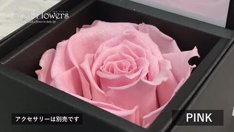 楽天市場】プロポーズ プリザーブドフラワー バラ 薔薇 ローズ